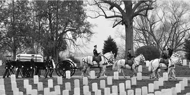 Freedom and Brotherhood on Memorial Day